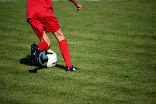 开云体育链接-体育新闻中心联合高校打造“体育+传媒”实践课程体系  第2张